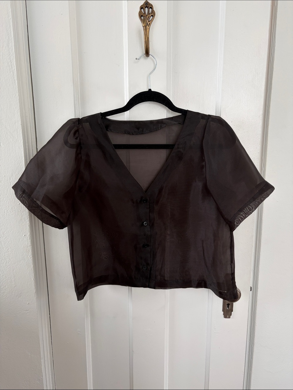 Sheer V-Neck Short Sleeve organza Blouse - black